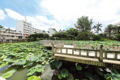 广西农业职业技术大学校园风光